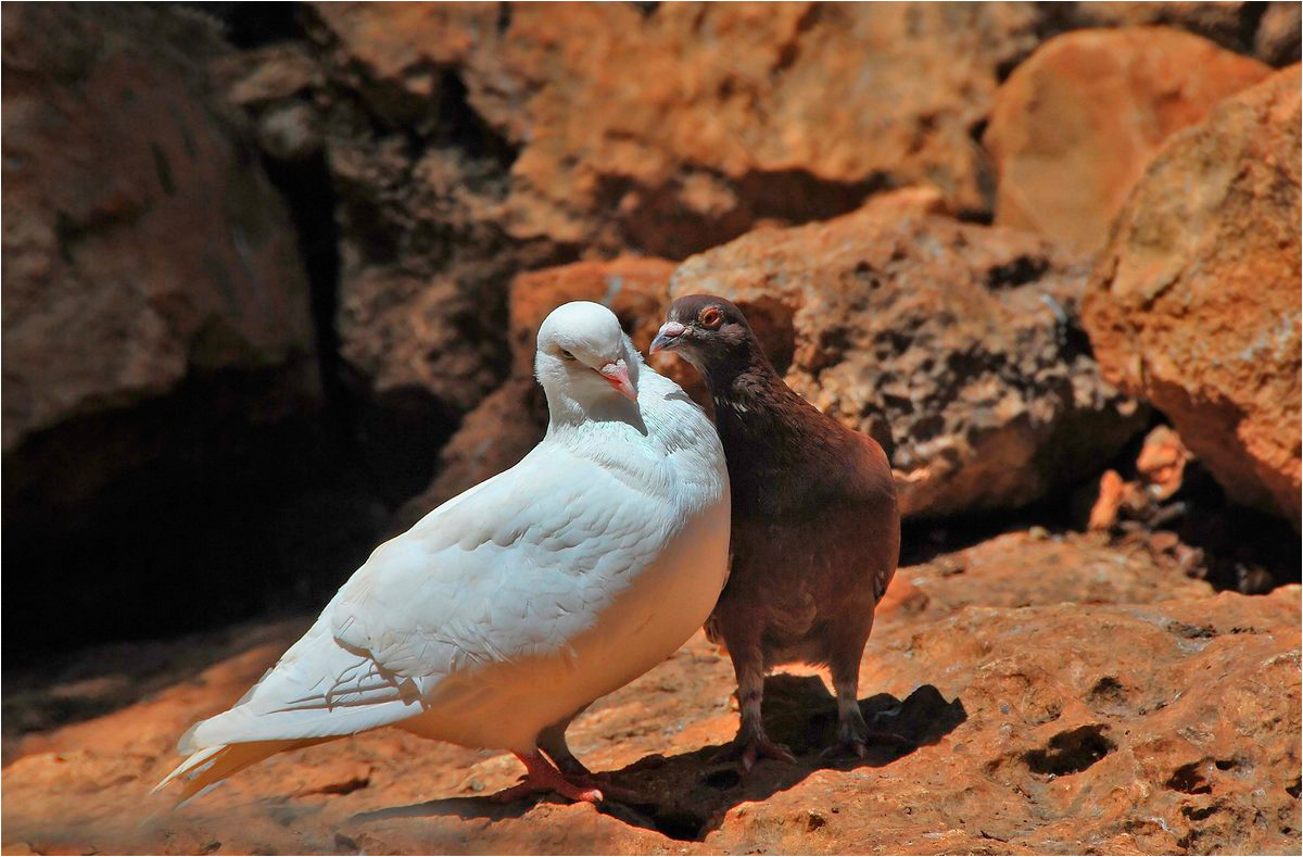Ну что Вы! Не надо!! Я стесняюсь....