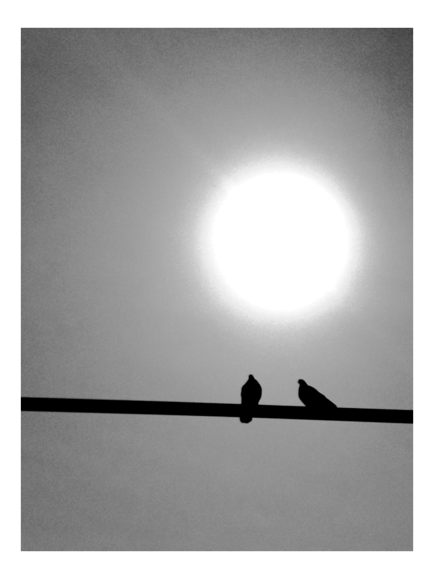 на жёрдочке