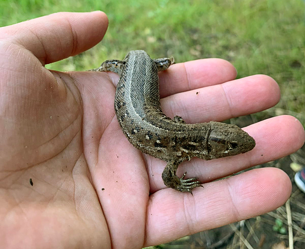 Надежная опора