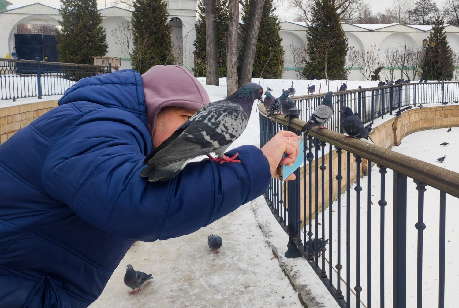 "Опять ты горизонт завалил!"