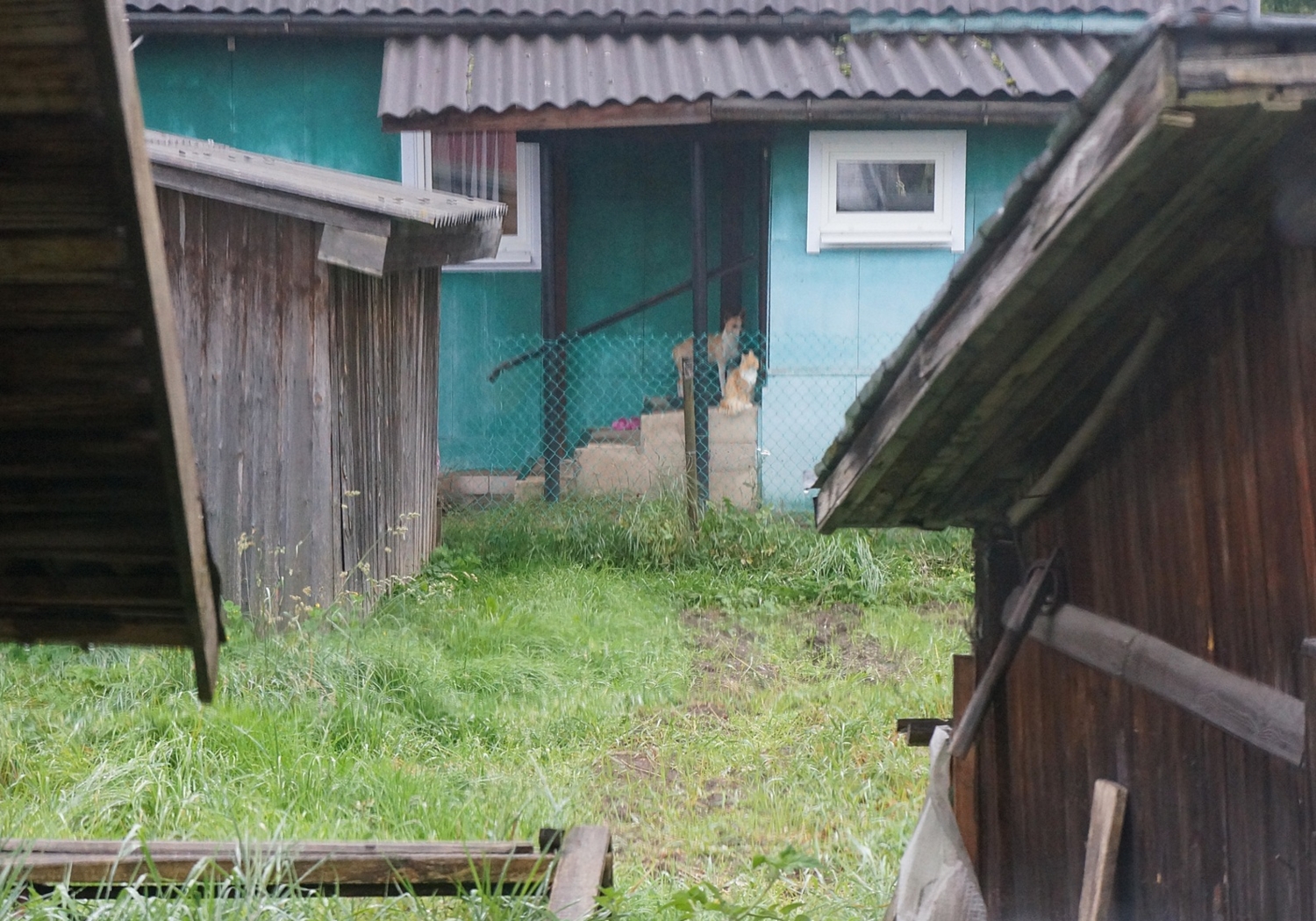 Давно сидят