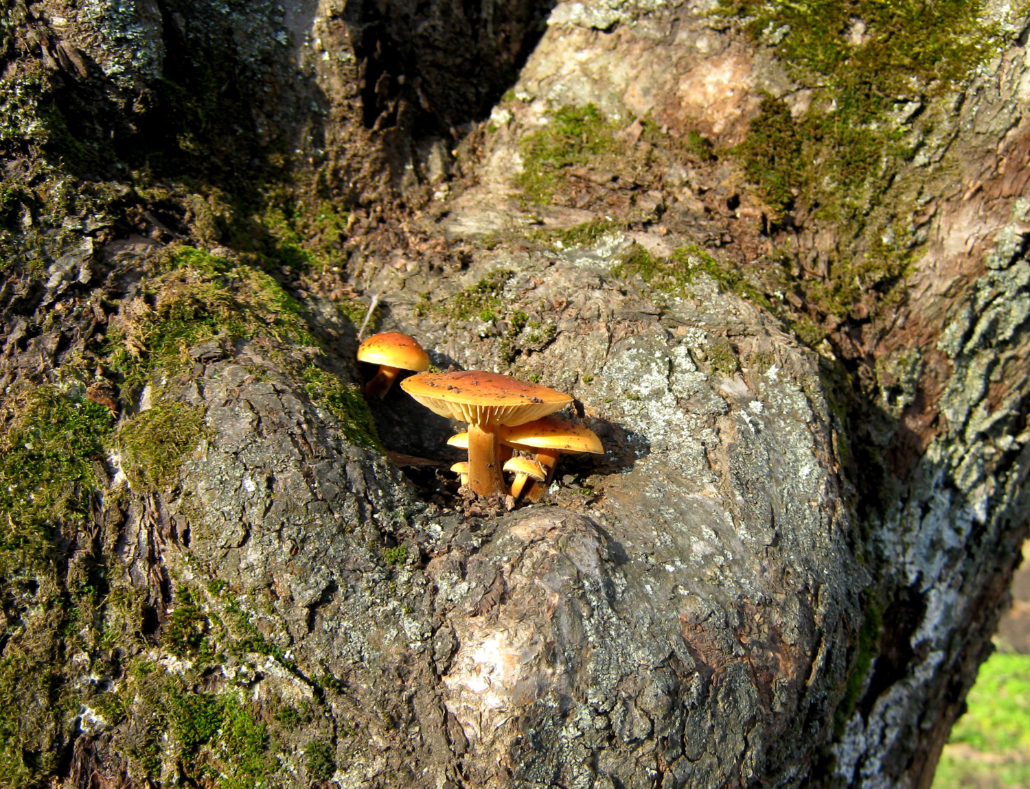 Выбрали местечко