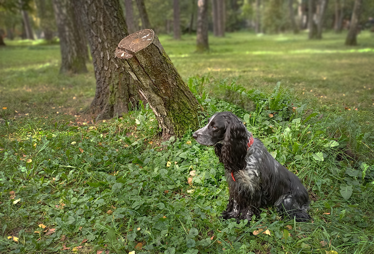 В одном направлении...