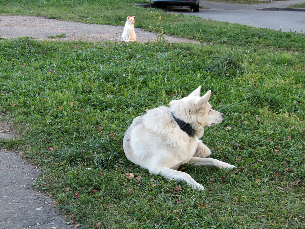 Мы с тобой одной масти