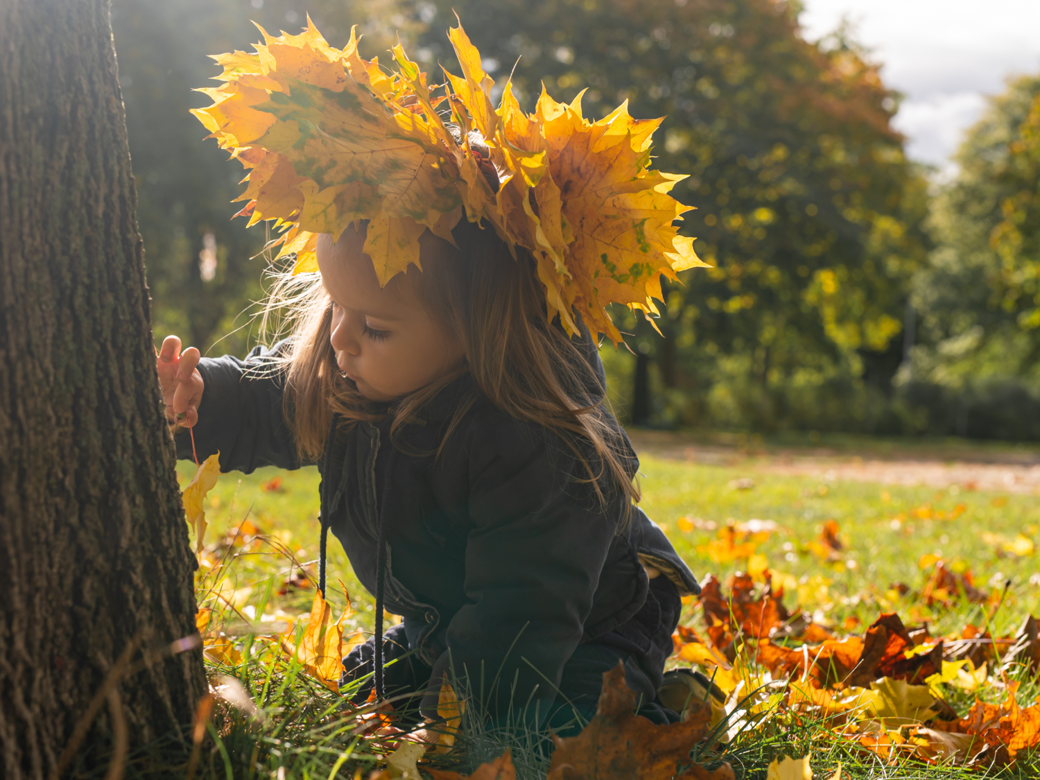 Принцесса осени