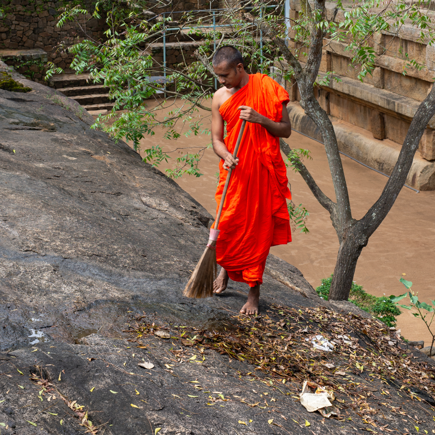 каждый день, листья, листья ,