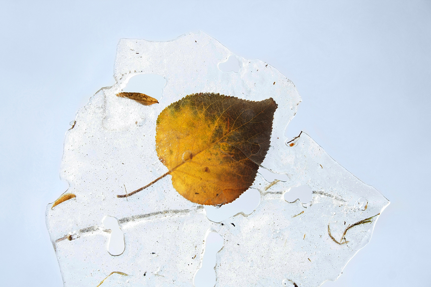 Причуды межсезонья