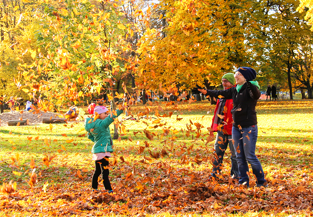 золотая пора