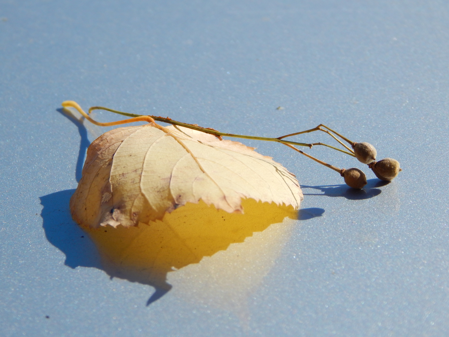 Совсем устал, совсем упал