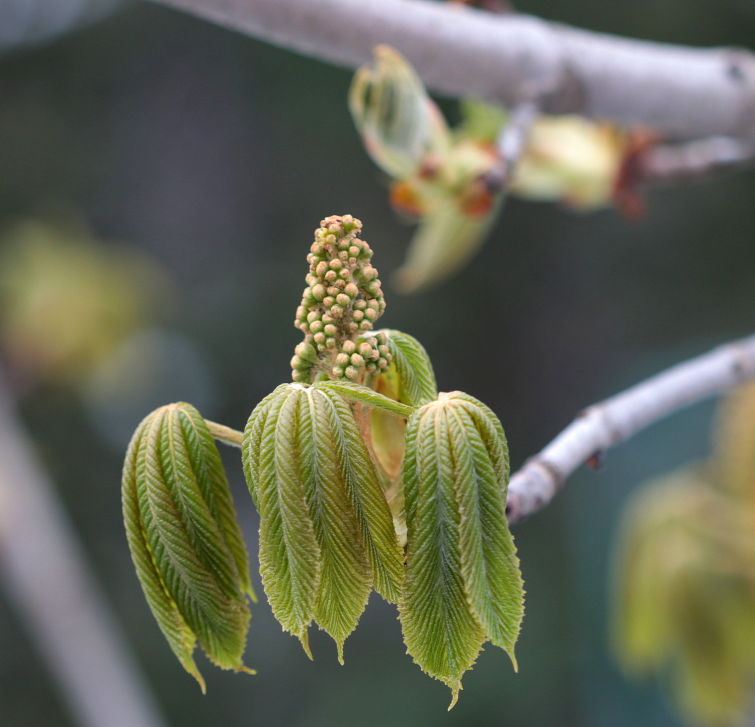 и весна бывает холодной