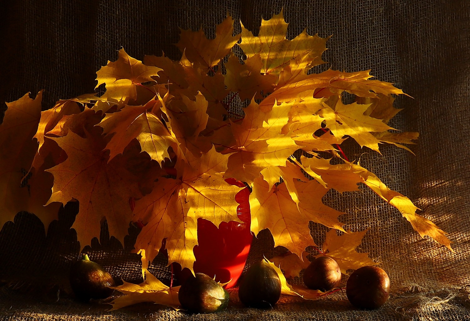 Осенний с инжиром