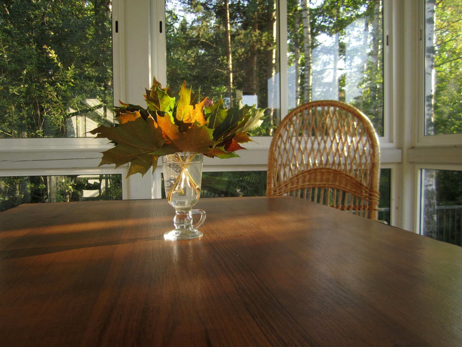 Ранняя осень