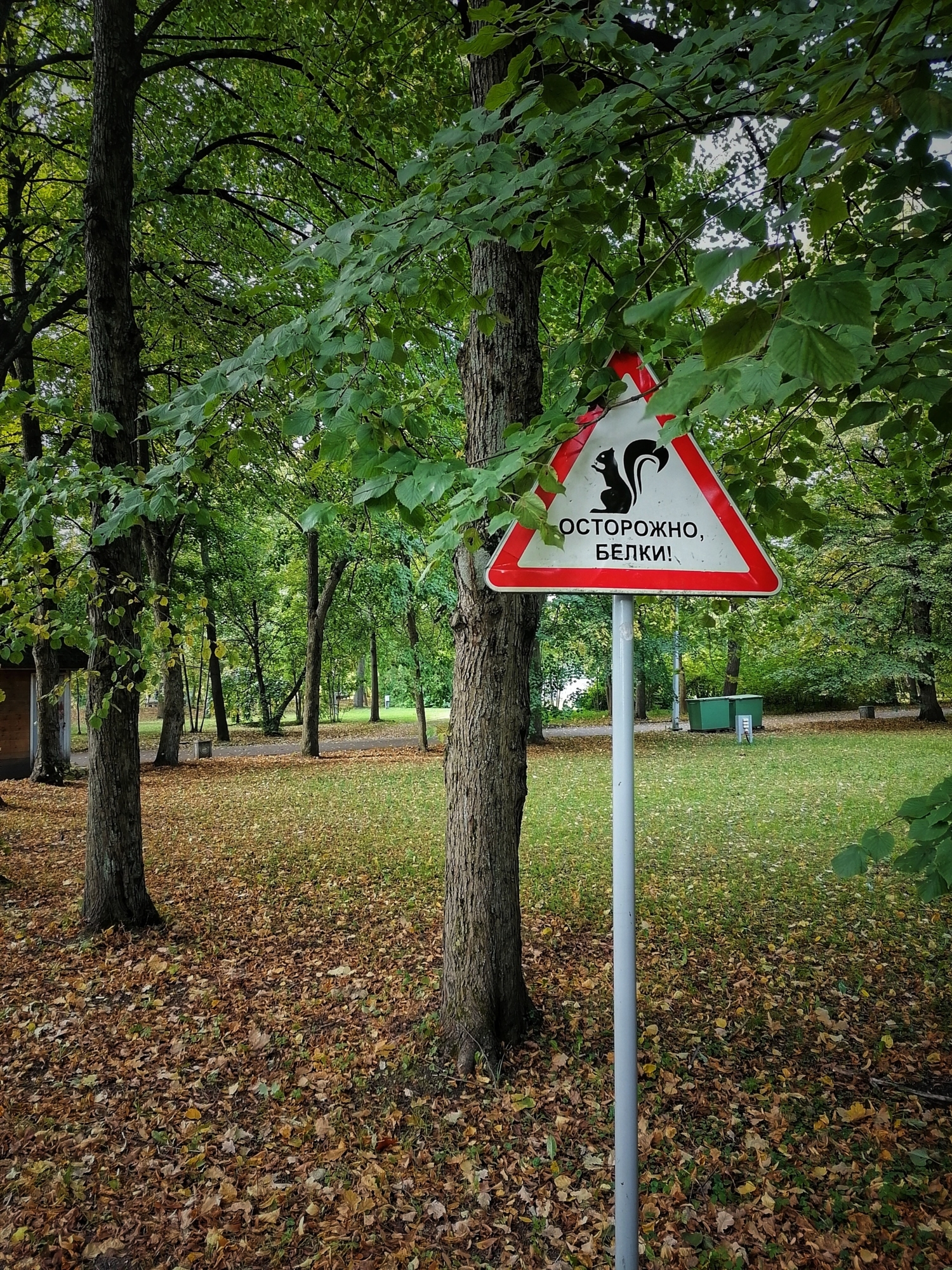 Бойся белок!