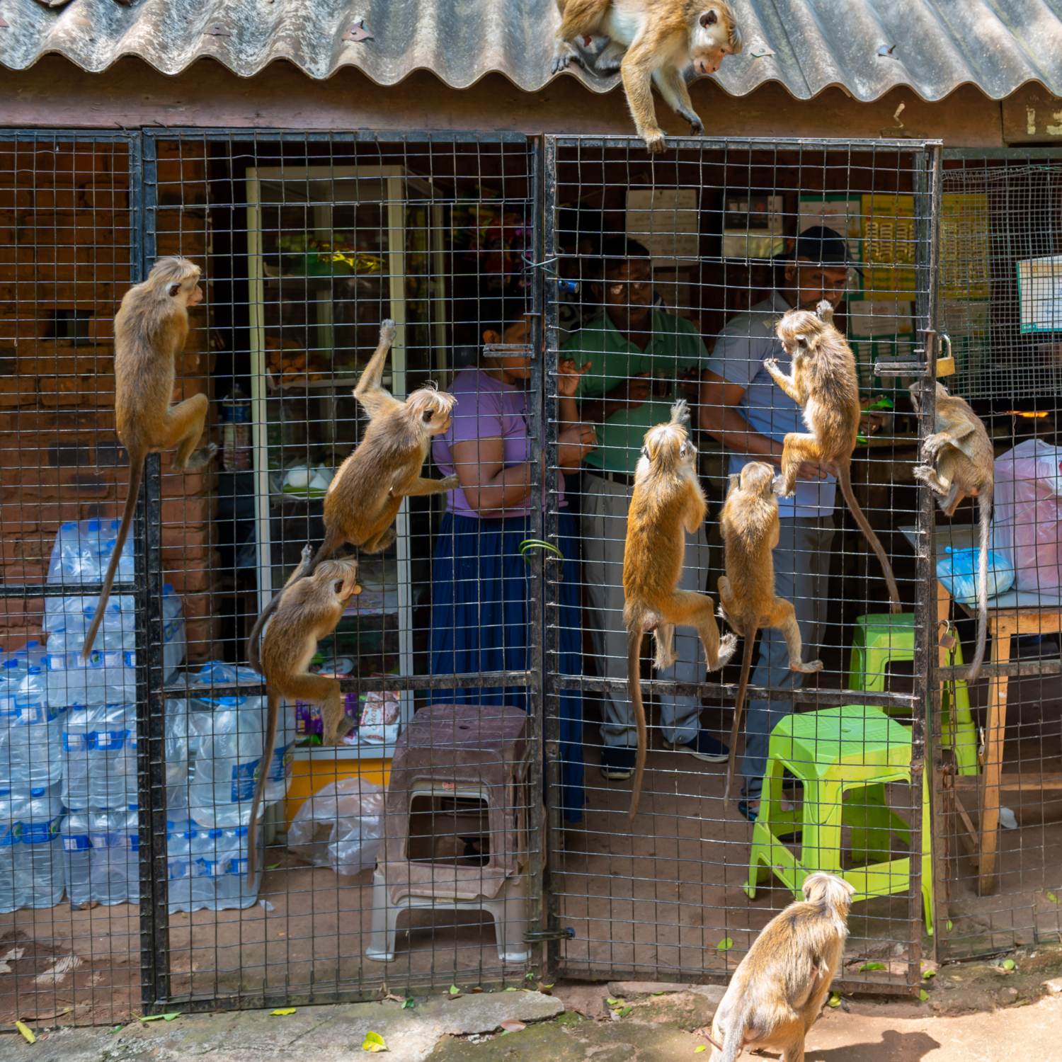 Перемена мест