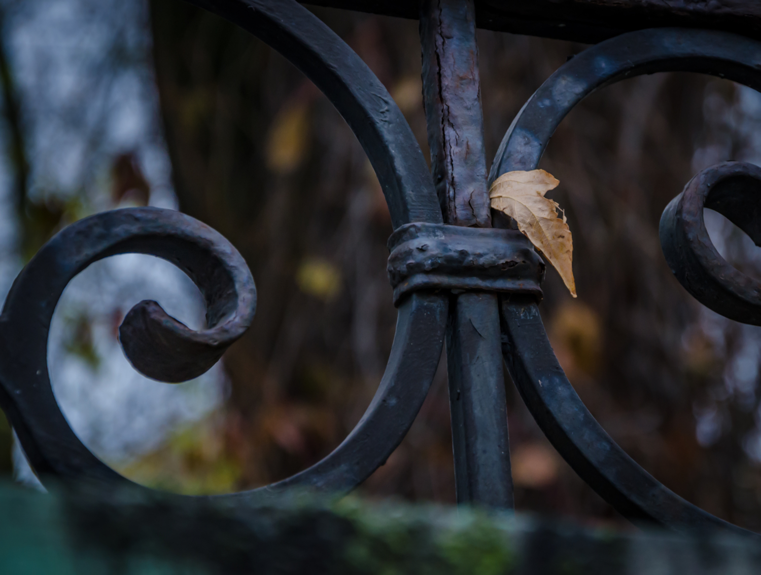 Вечность и быстротечность.