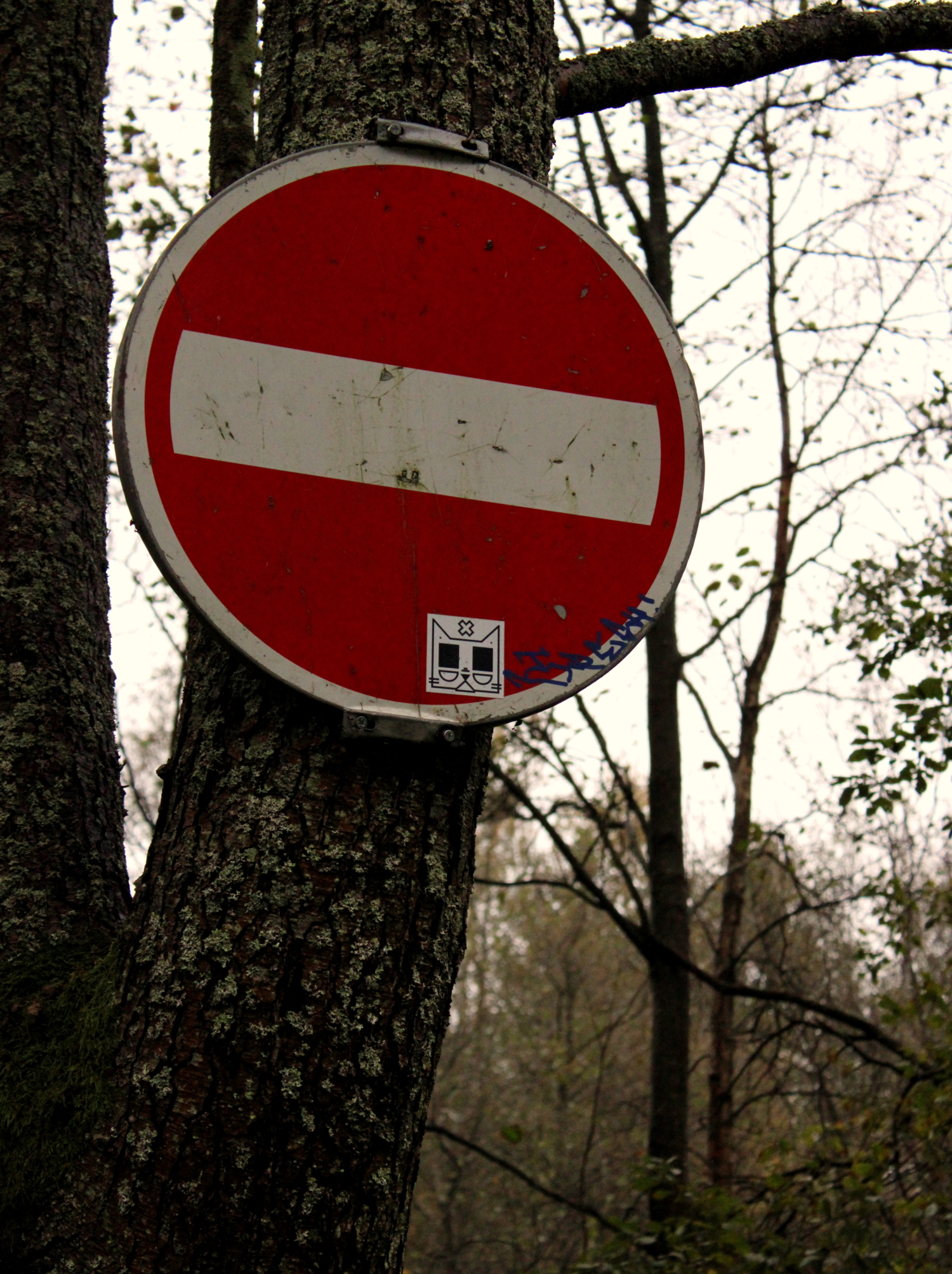 Уже и в лес нельзя...