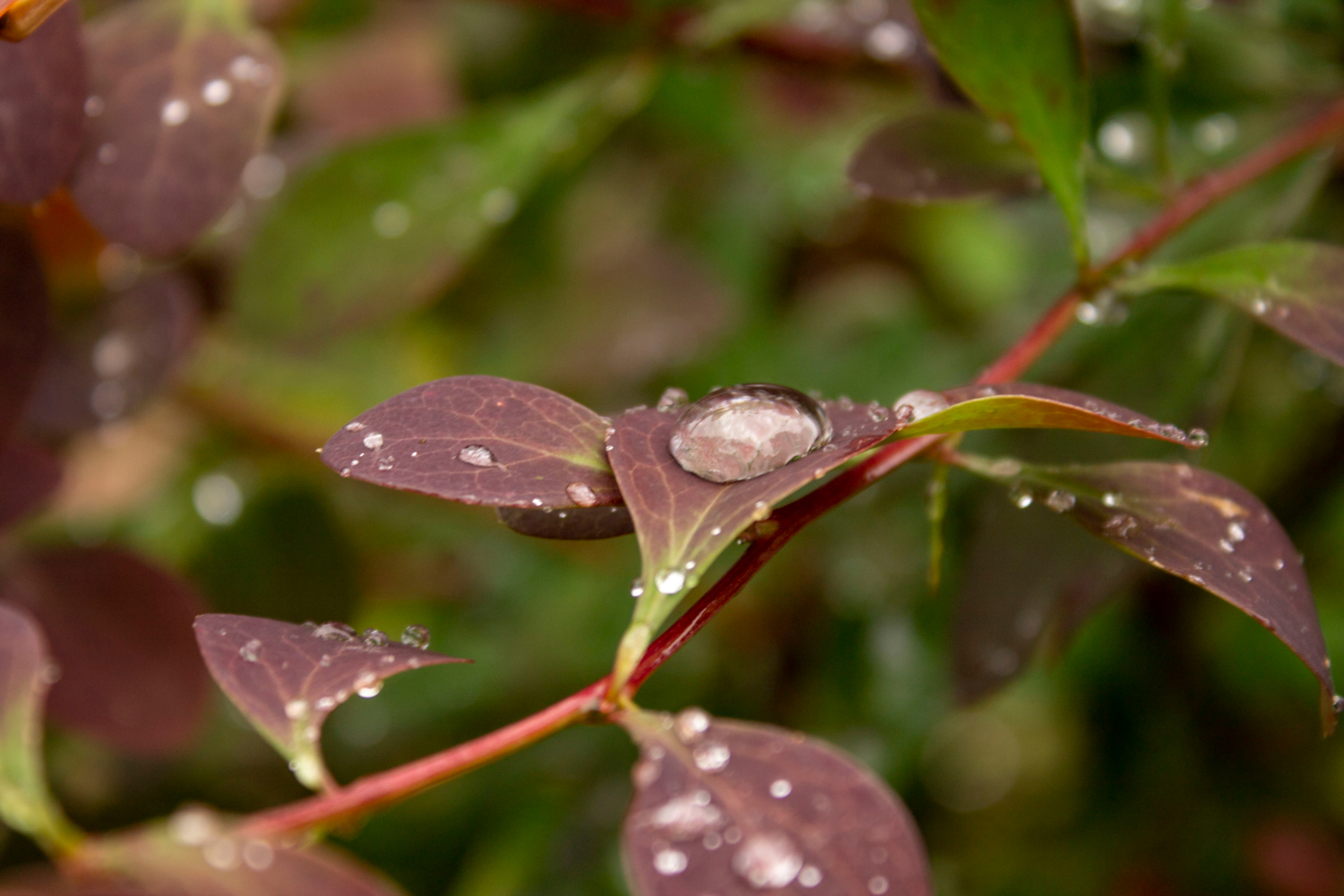 Ой, сейчас упаду.