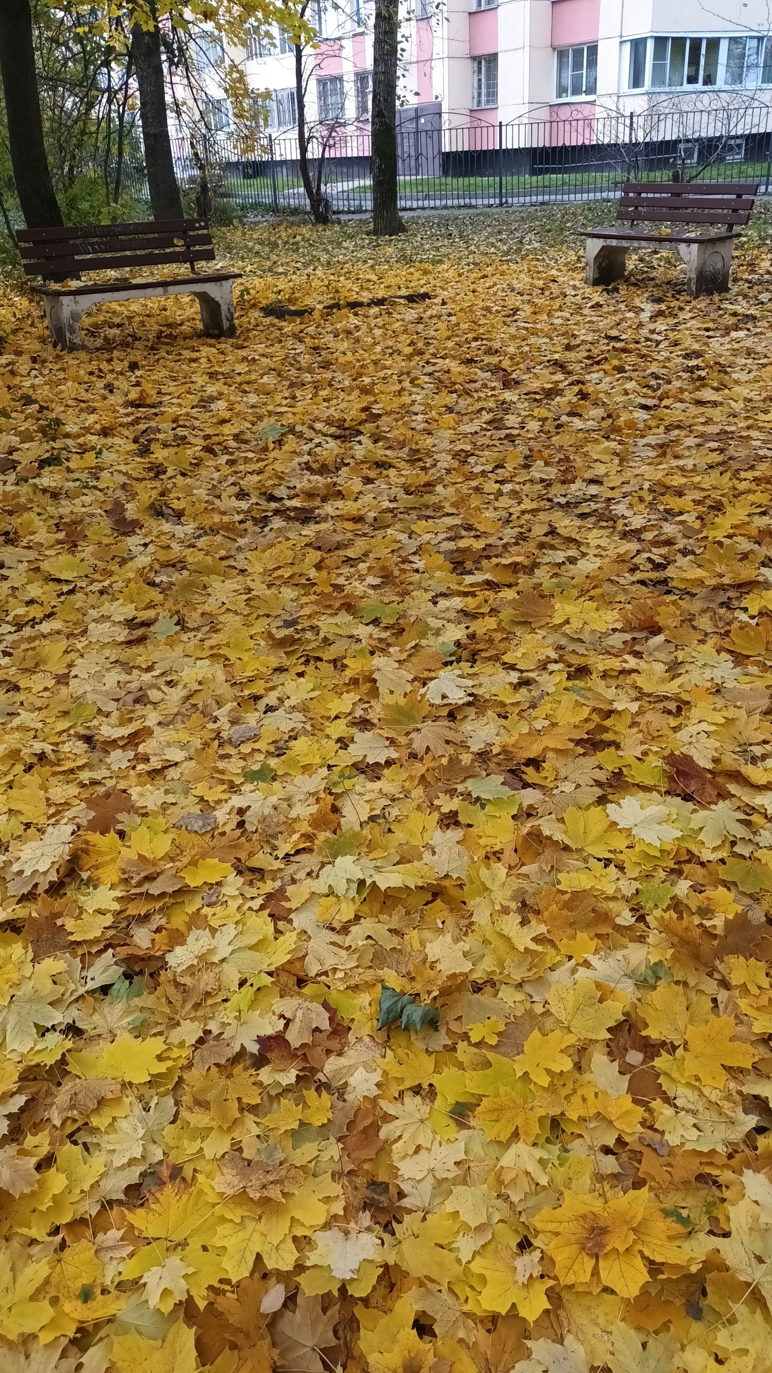 Старые скамейки...