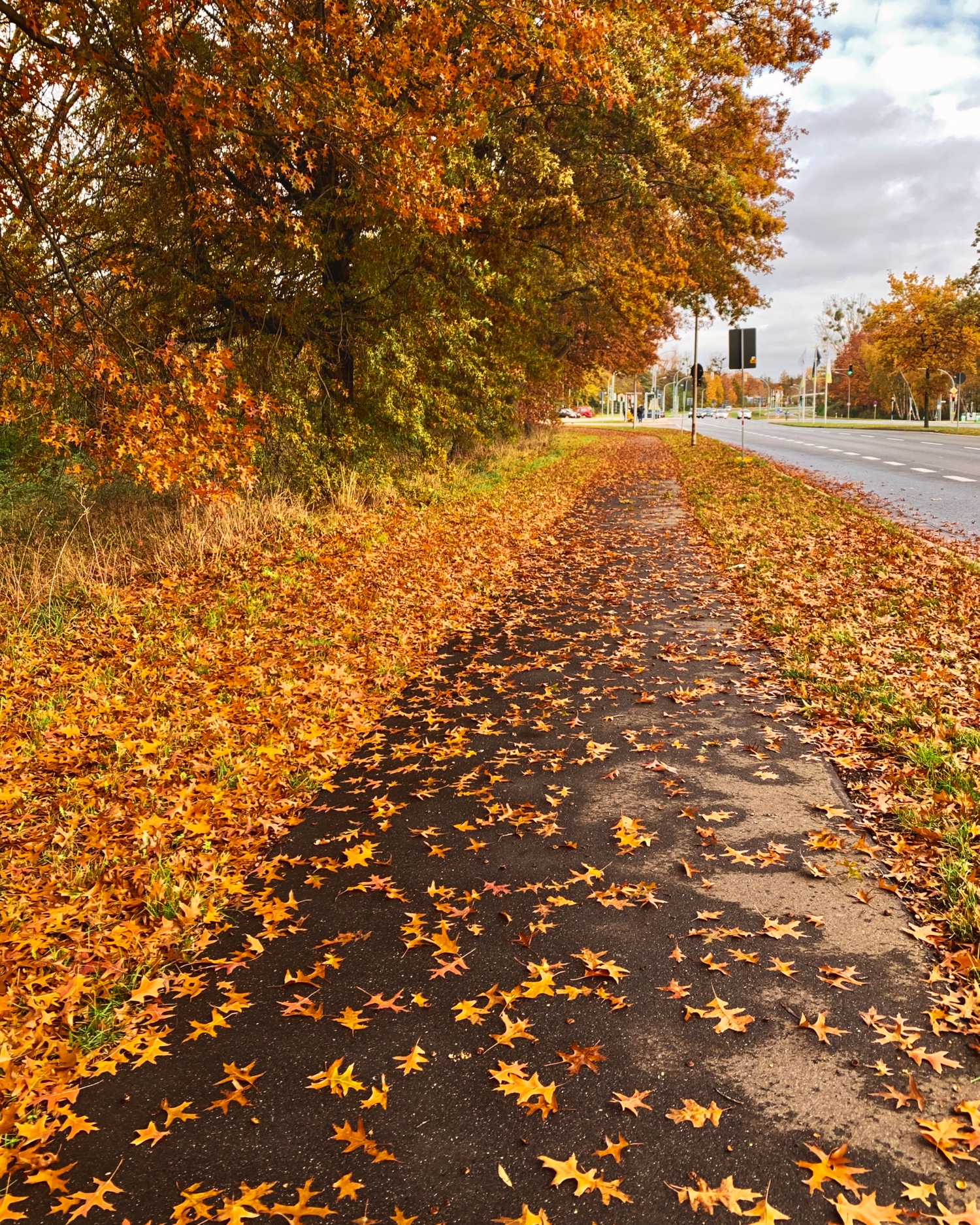 Осенняя перспектива