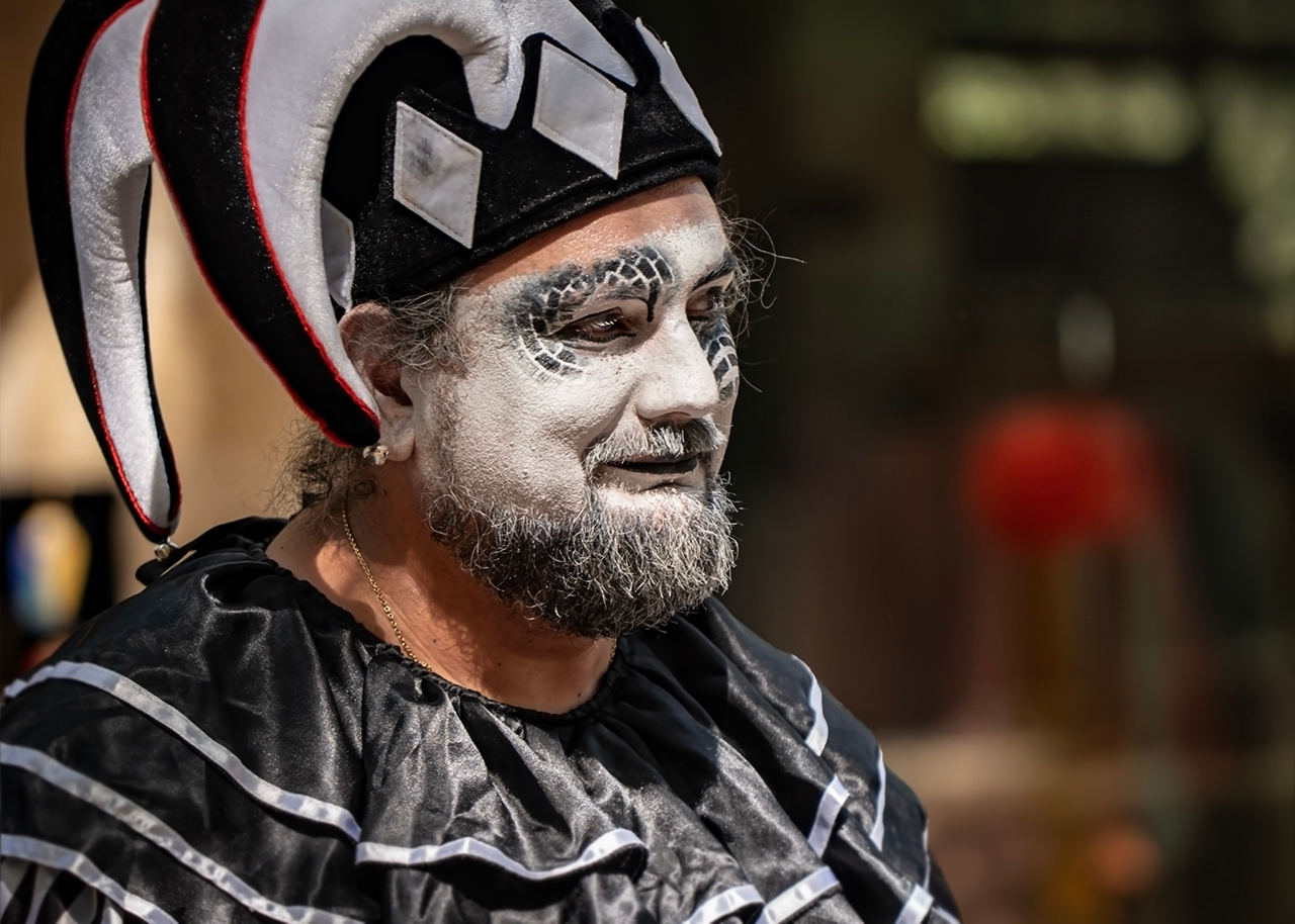 Трудные будни шута