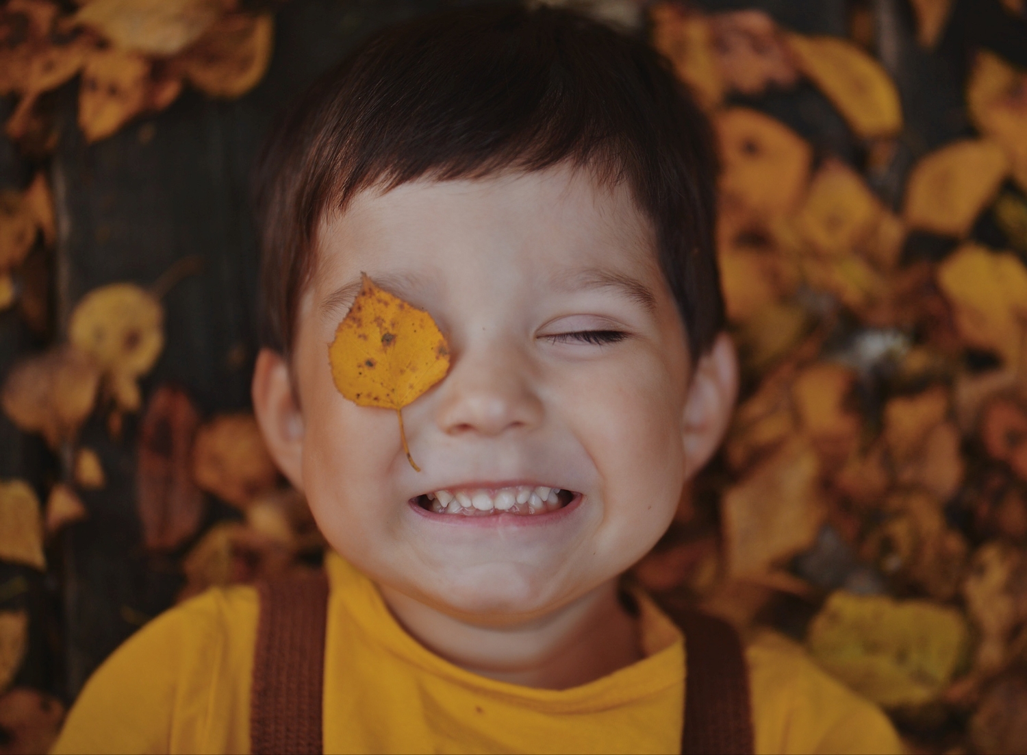 Осенний баловень