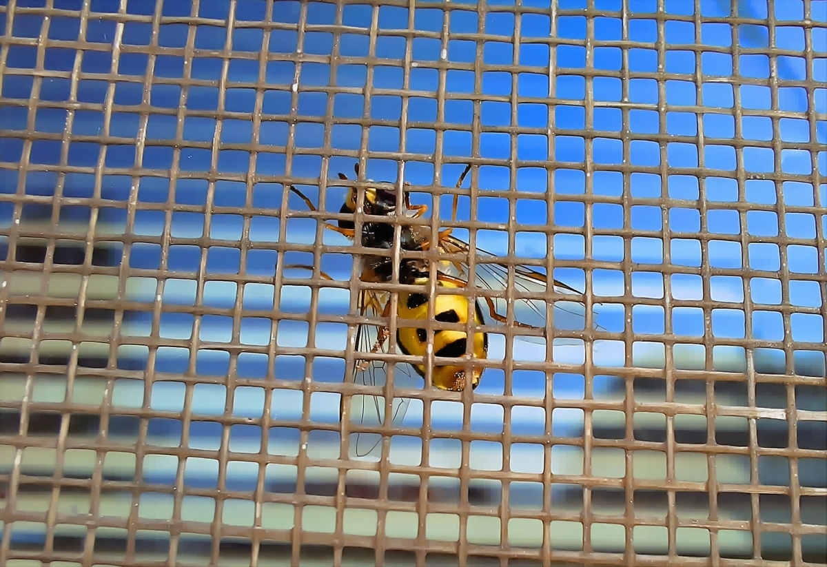 Всё равно я до вас доберусь...