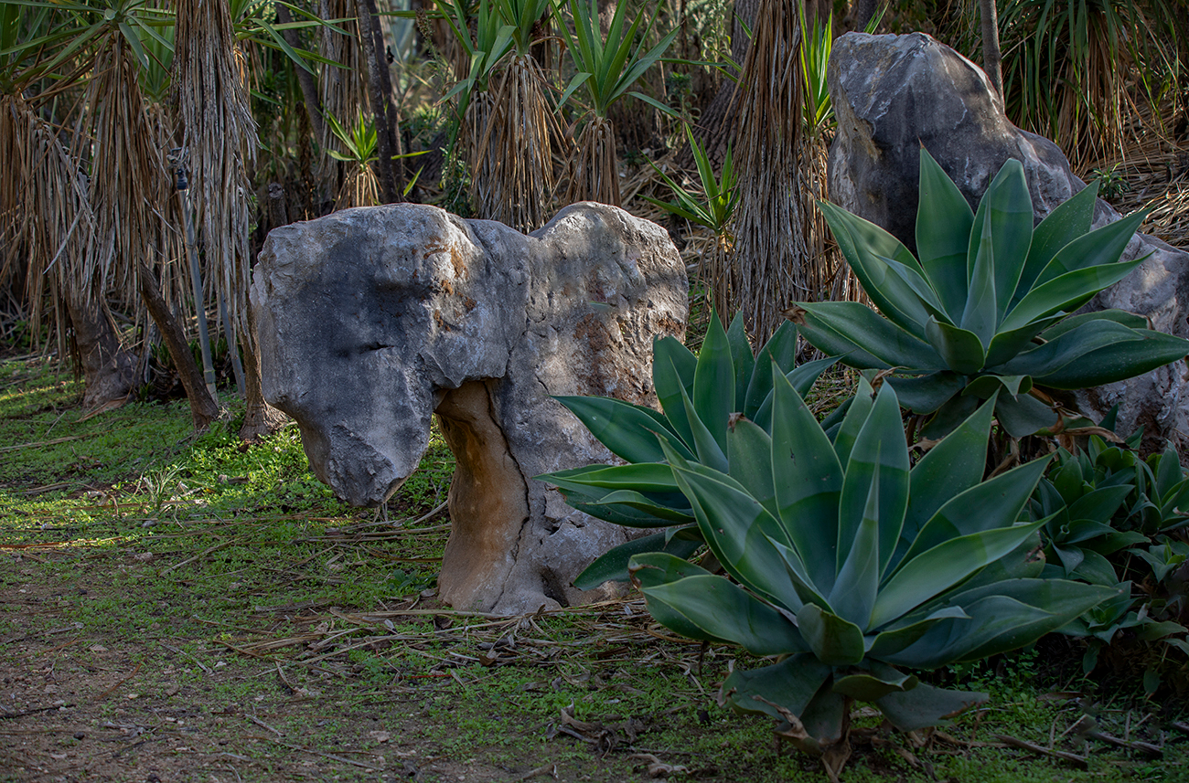 Камень с характером грустной собачки