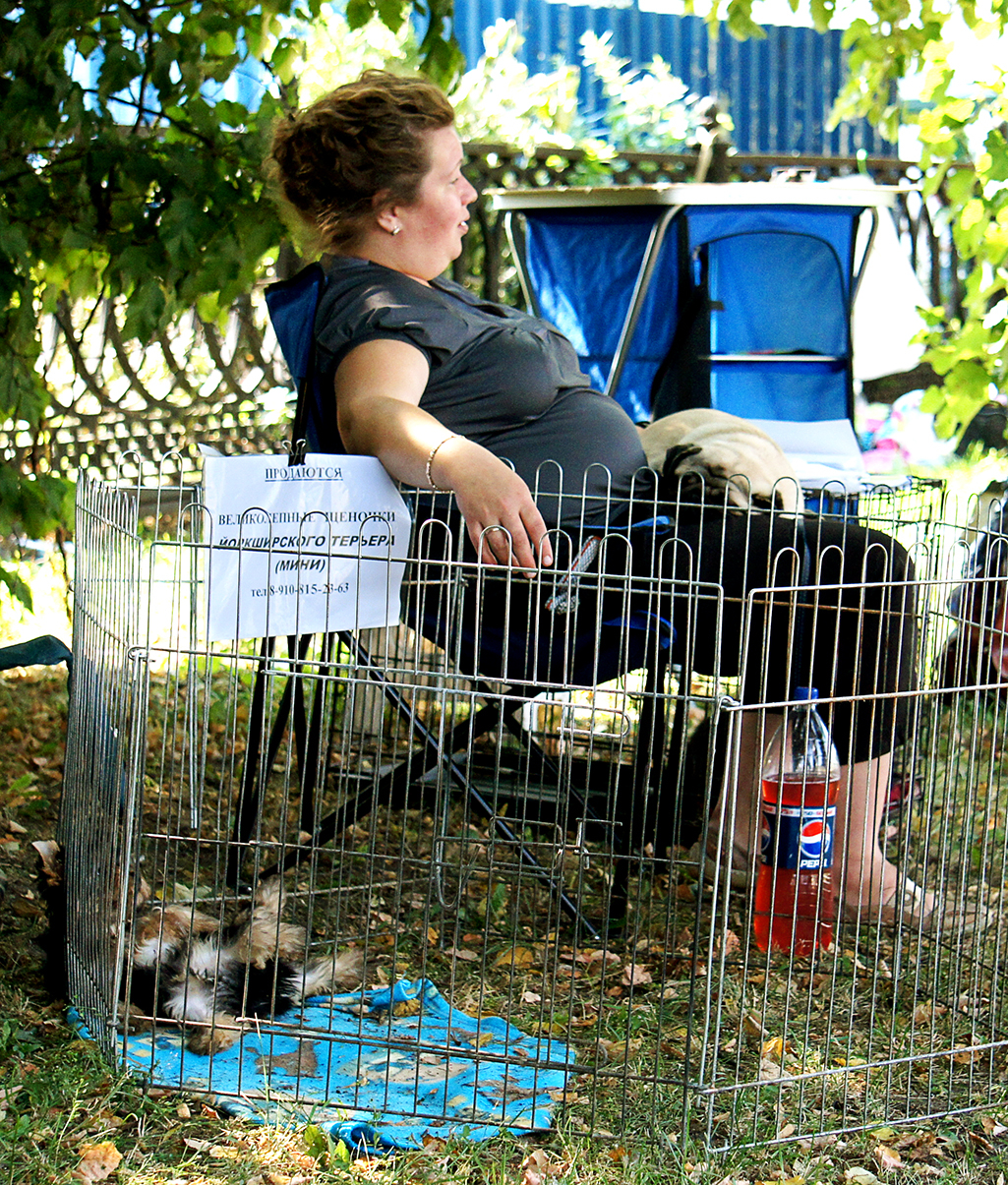 Распродажа