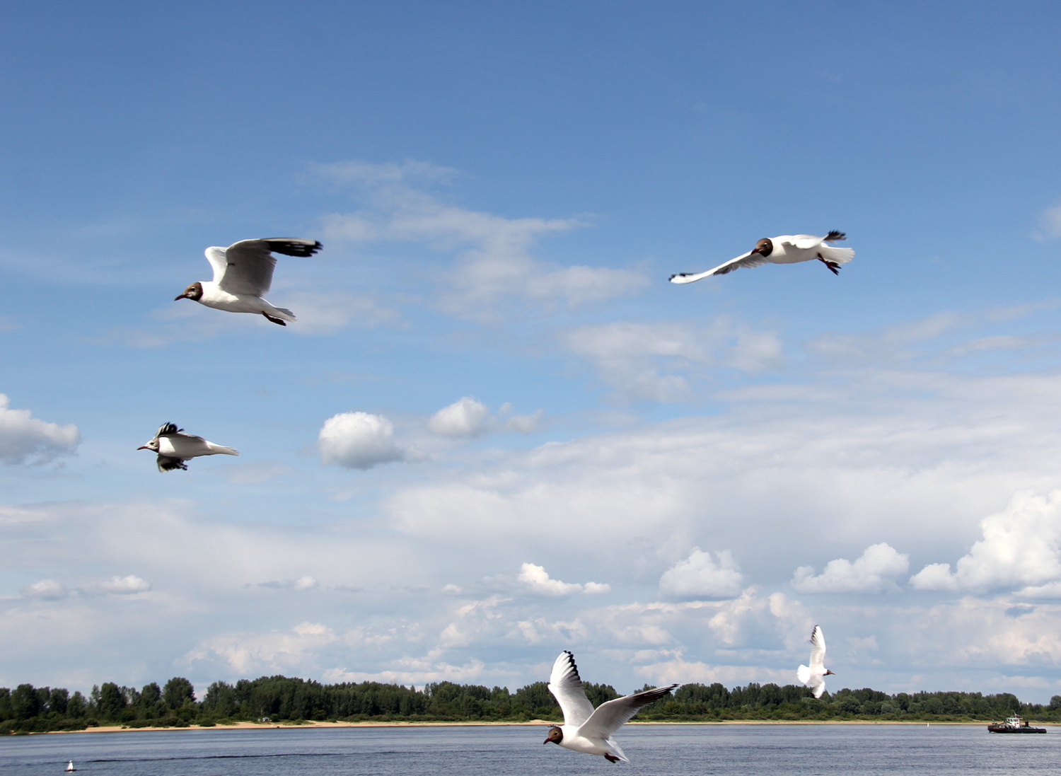 ...на любой вкус...