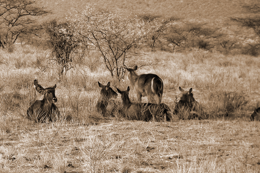 Всем на показ