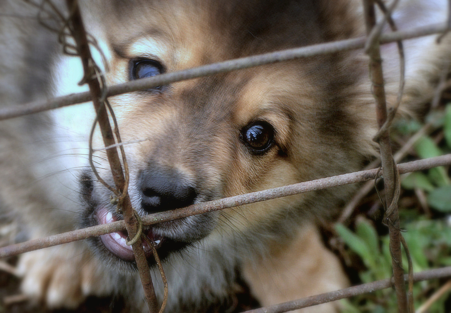 Поиграем, а ?