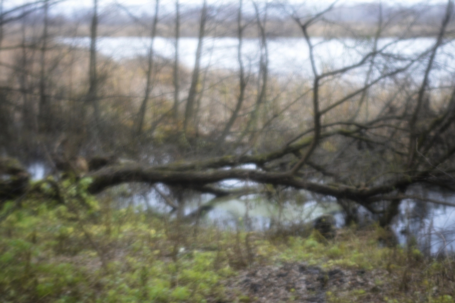 Озёрный край