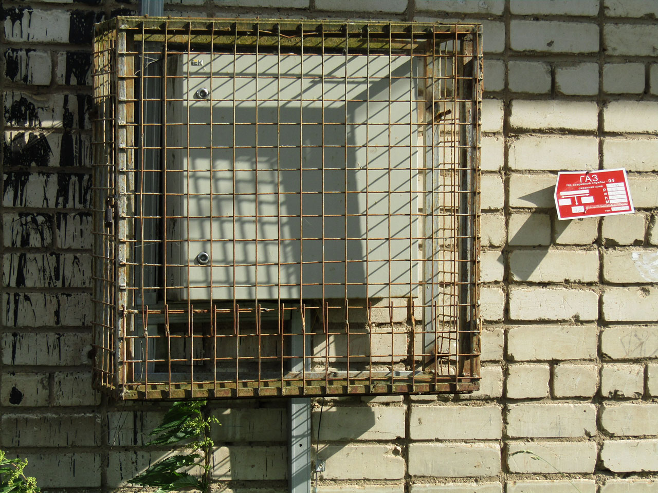 Клетки в клетке