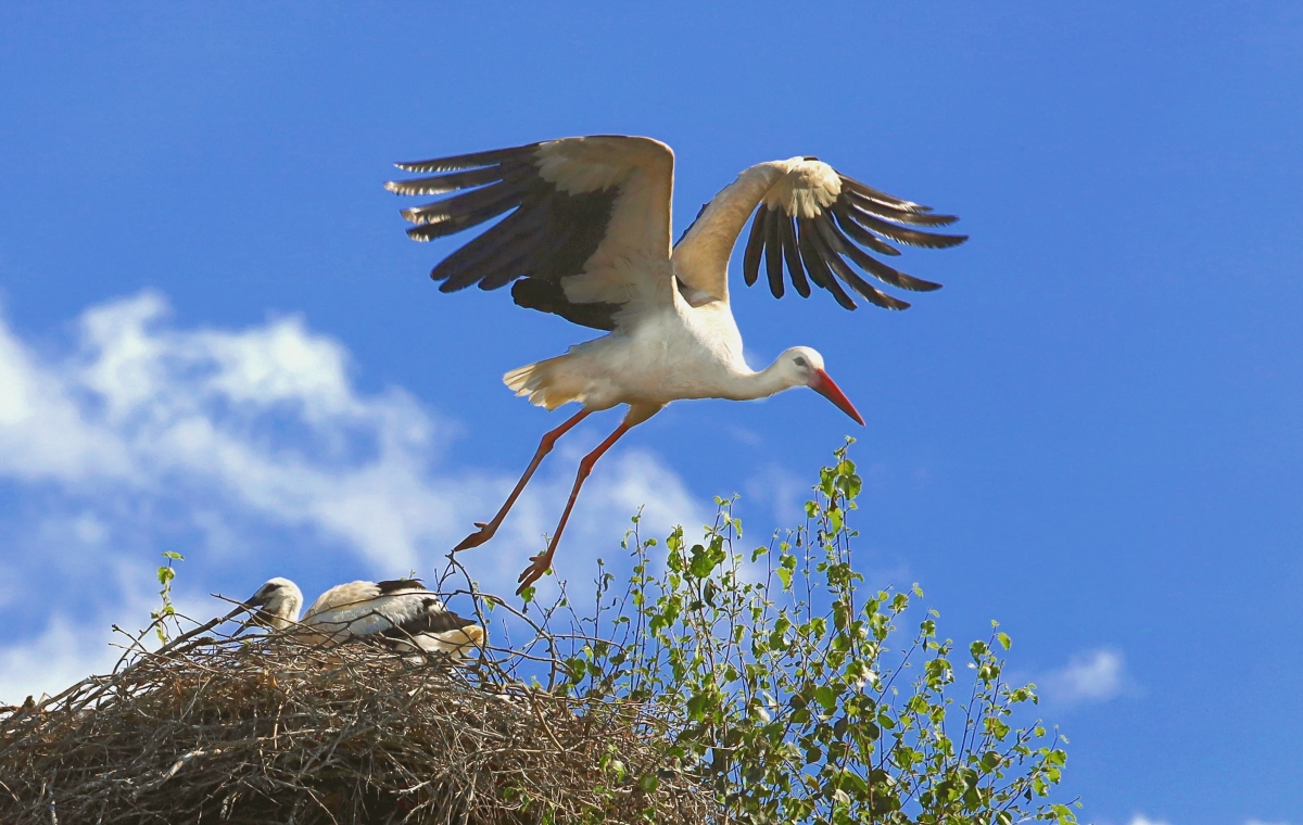 Полетел в супермаркет