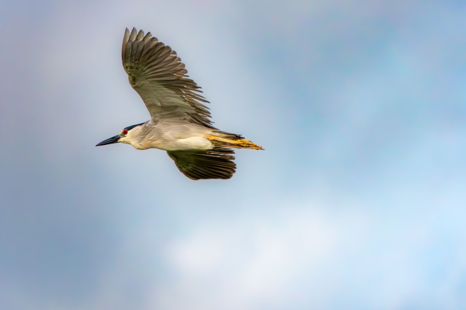 Хочу так летать