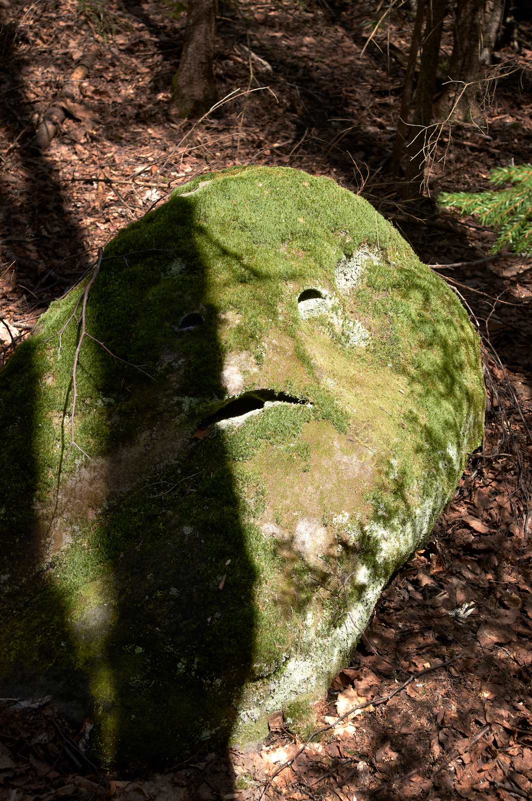 "Я знаю, что вы сделали прошлым летом"