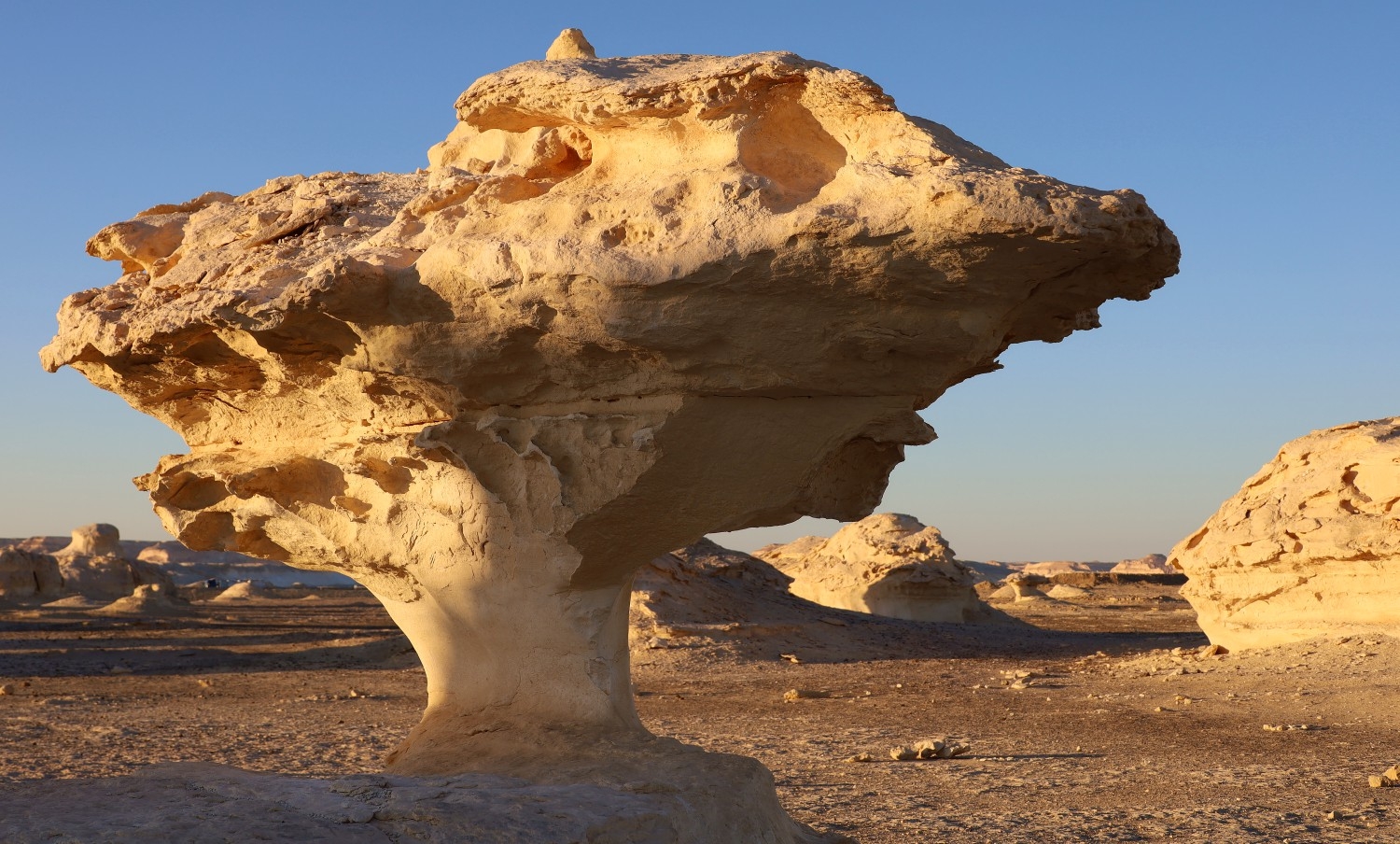 На тоненькой ножке