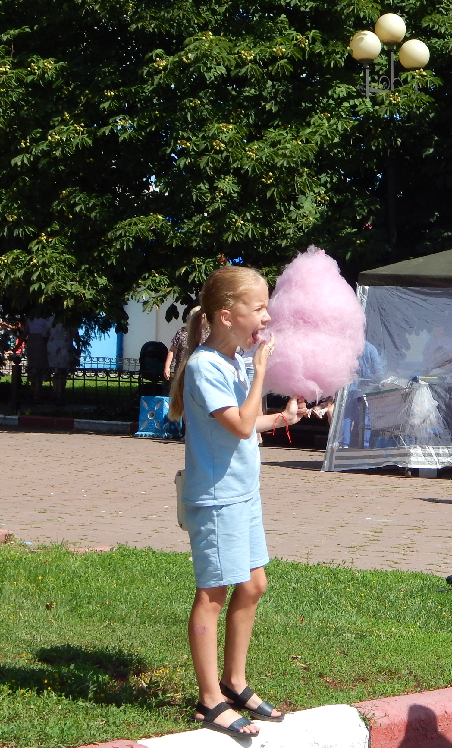 Сладкая вата. По сути - сахарный клубок