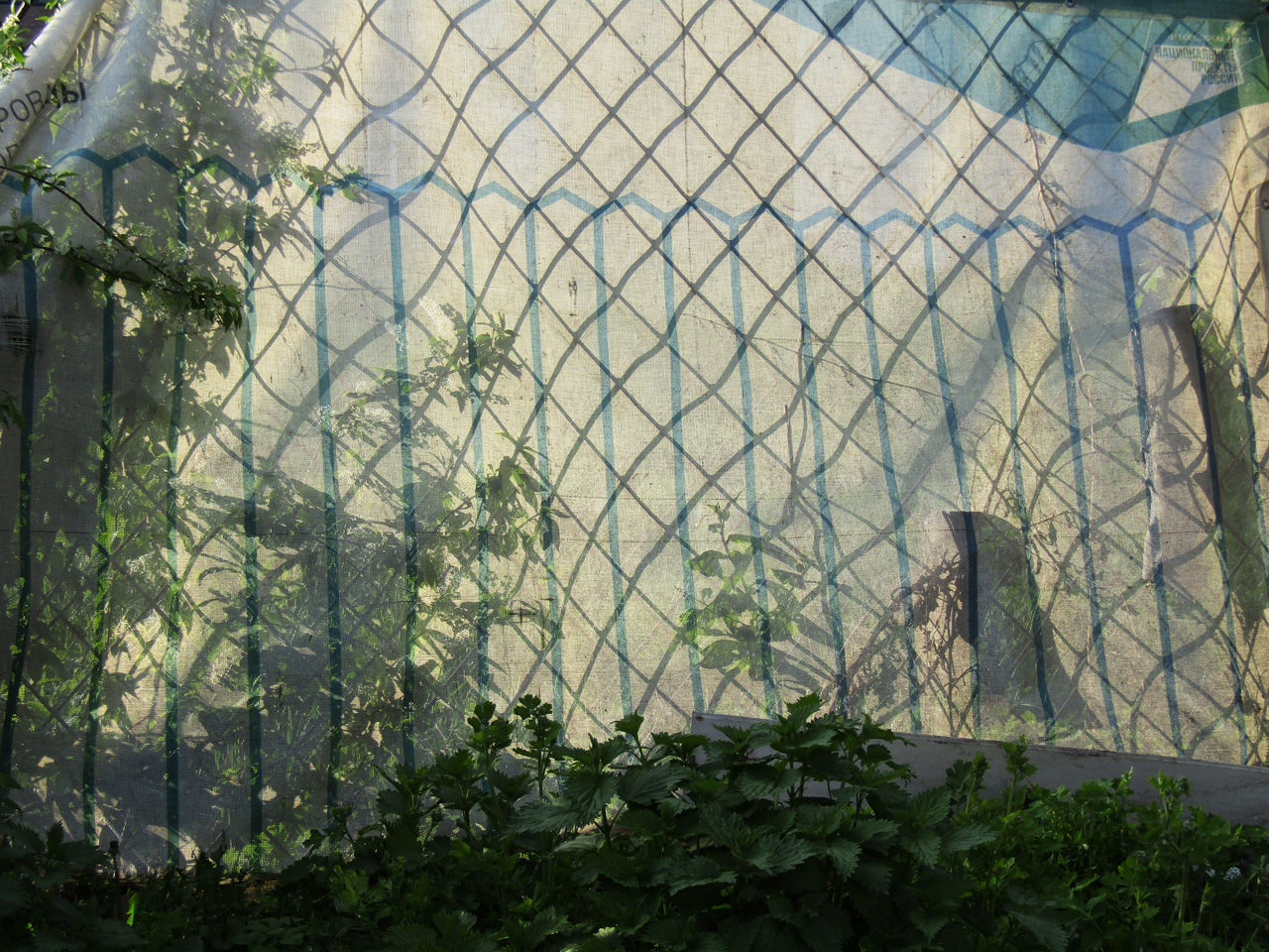 И в клетку и в полоску