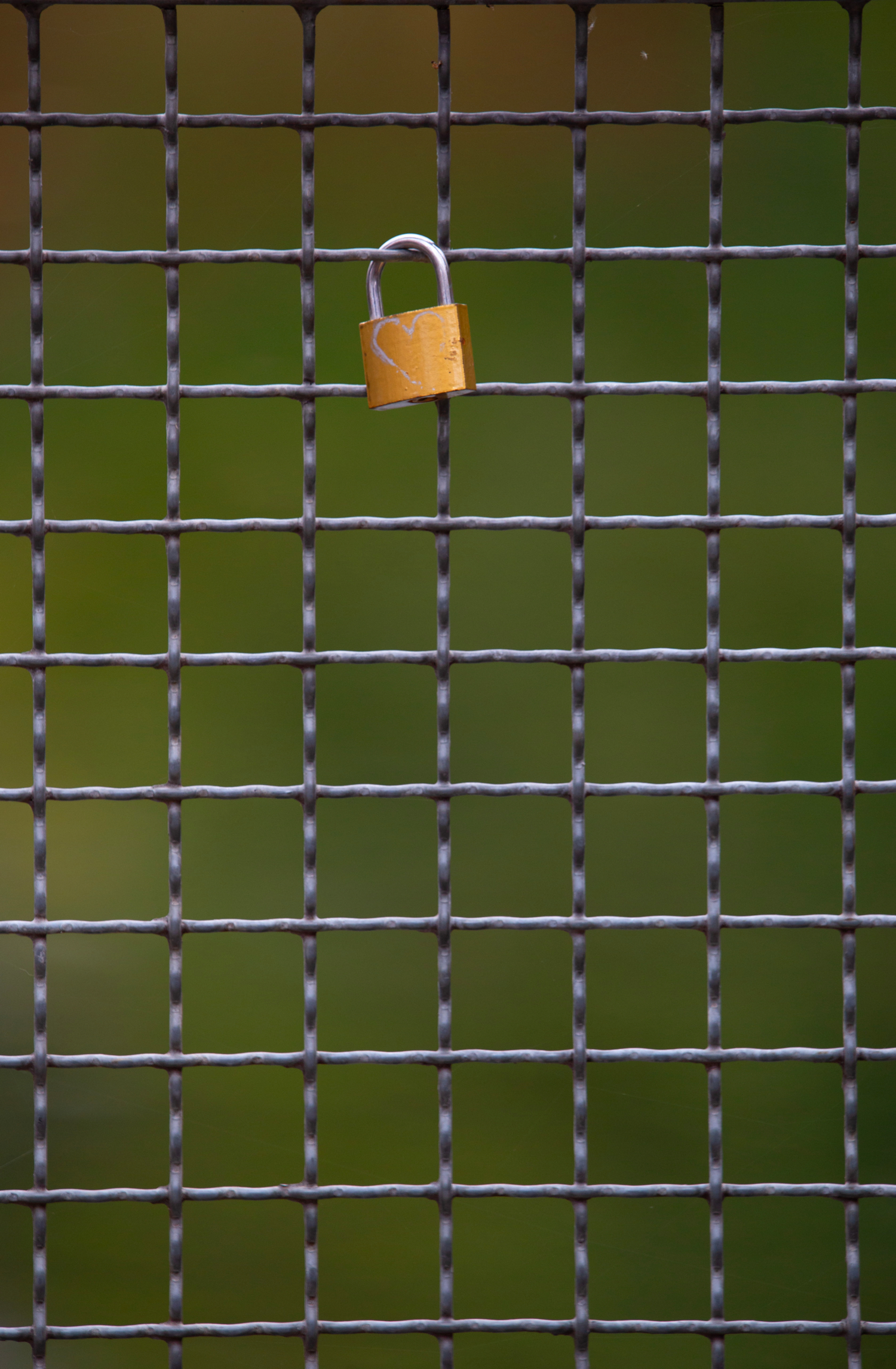 Ячейка общества