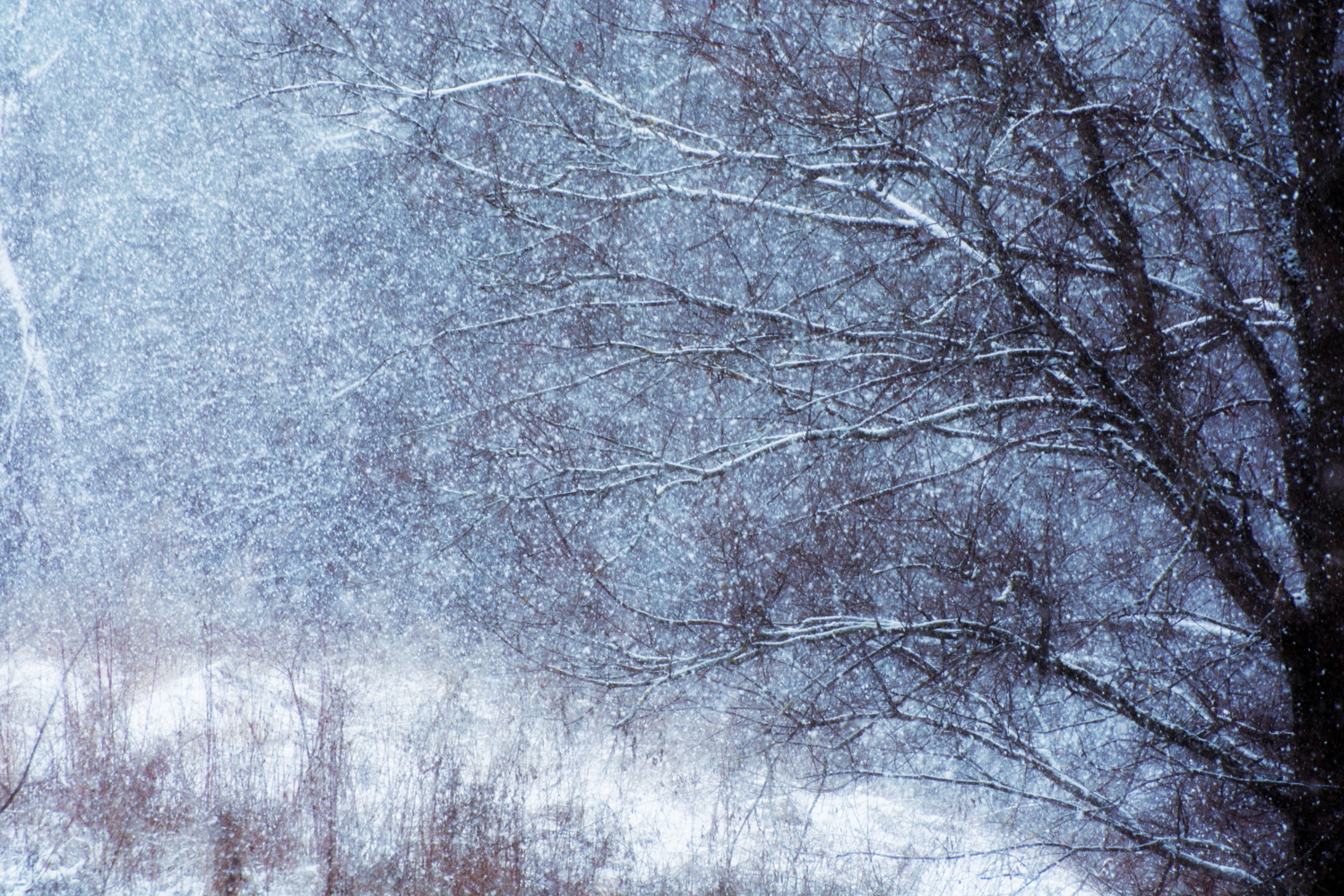 Мокрый снег ноября