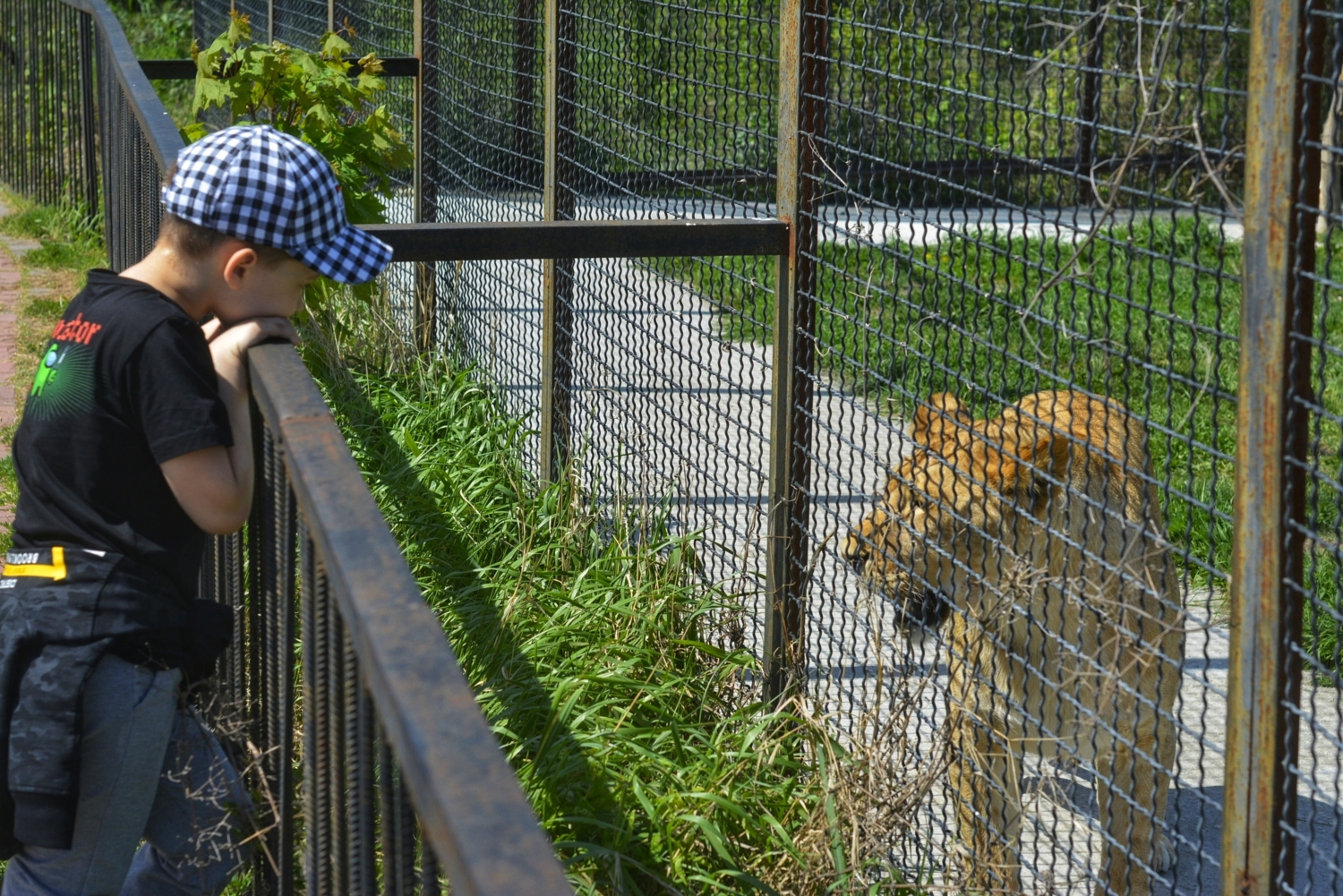 Эй, не стойте слишком близко!