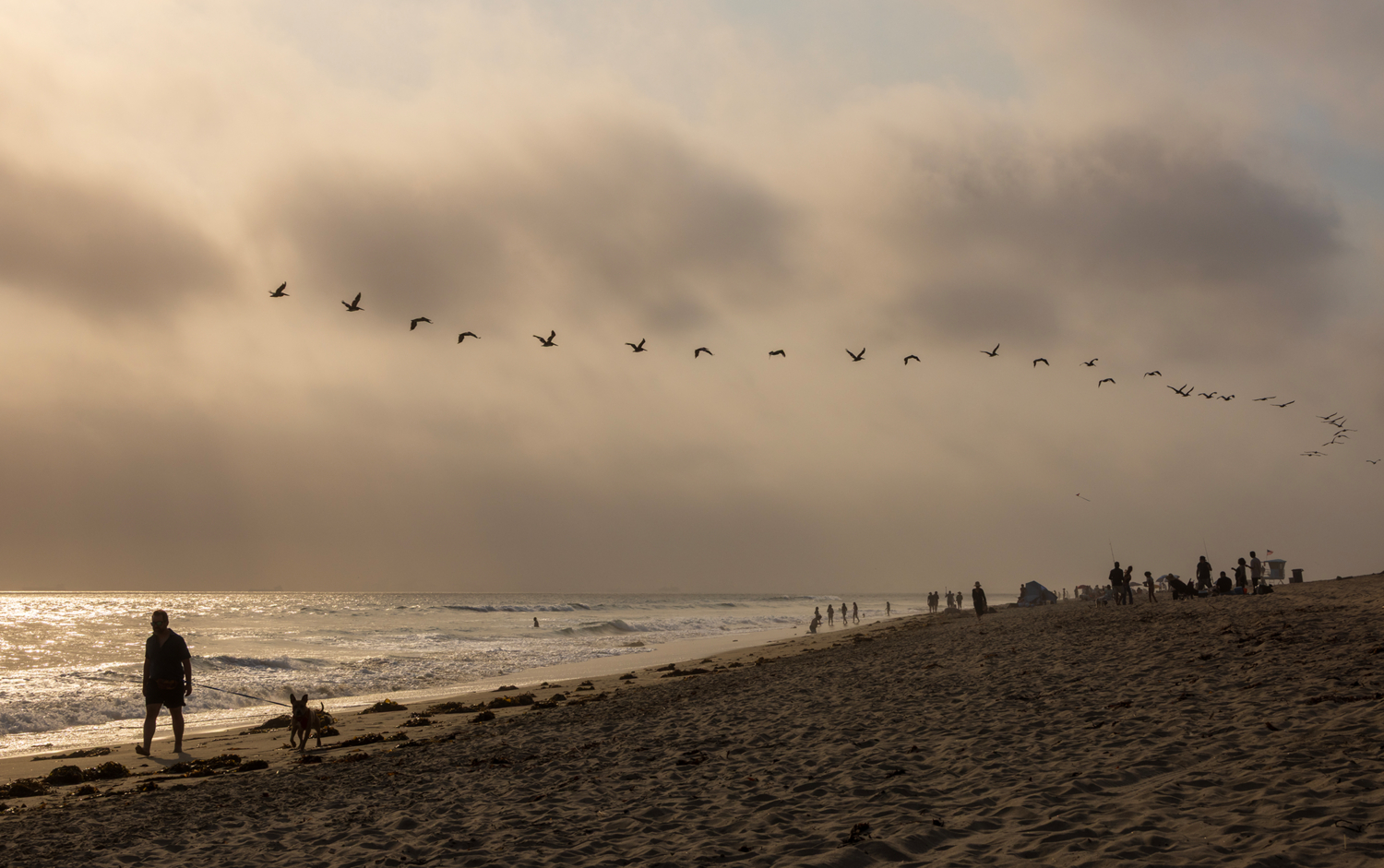 Над мирской суетой