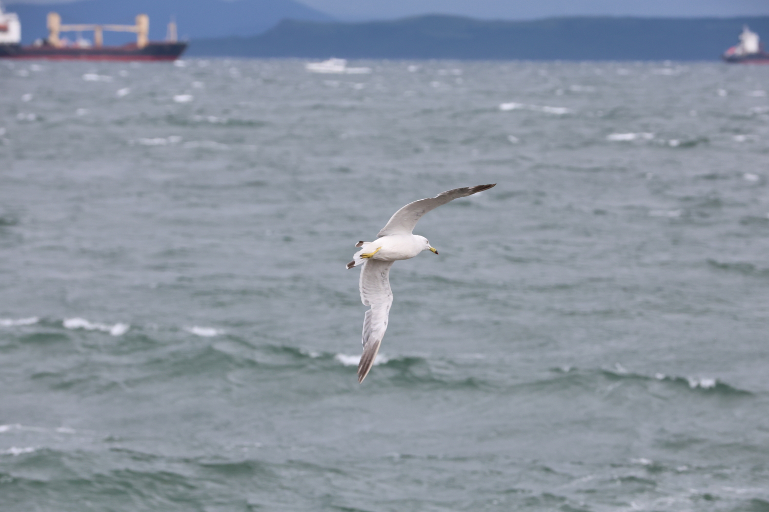 Над волнами
