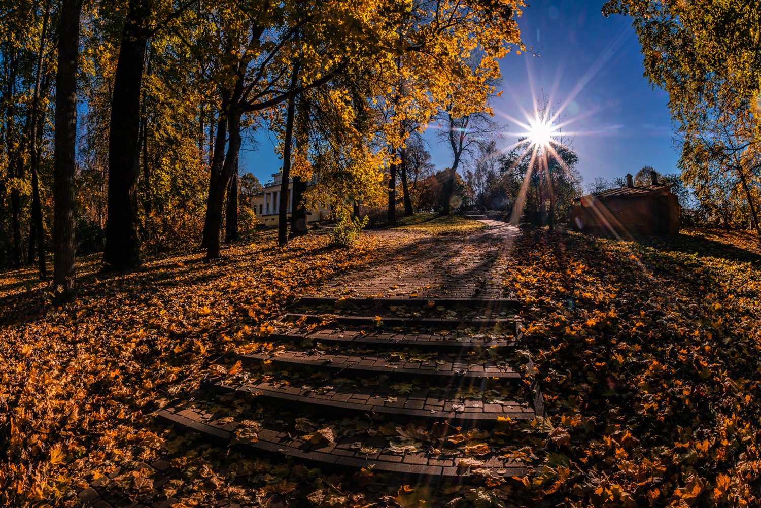 Парковая осень