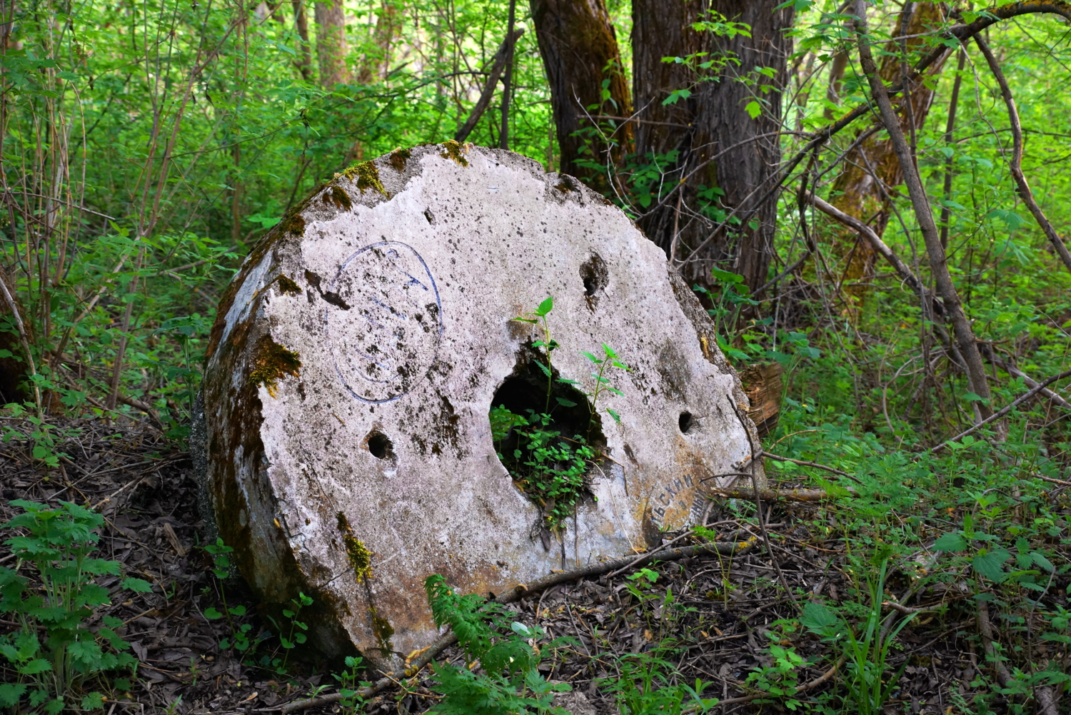 Кто потерял колечко?