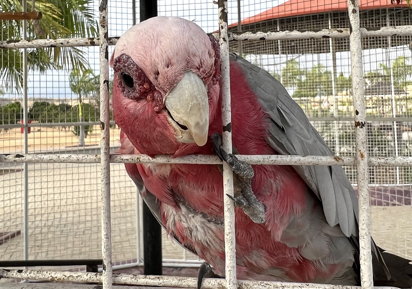 Слушай сюда!