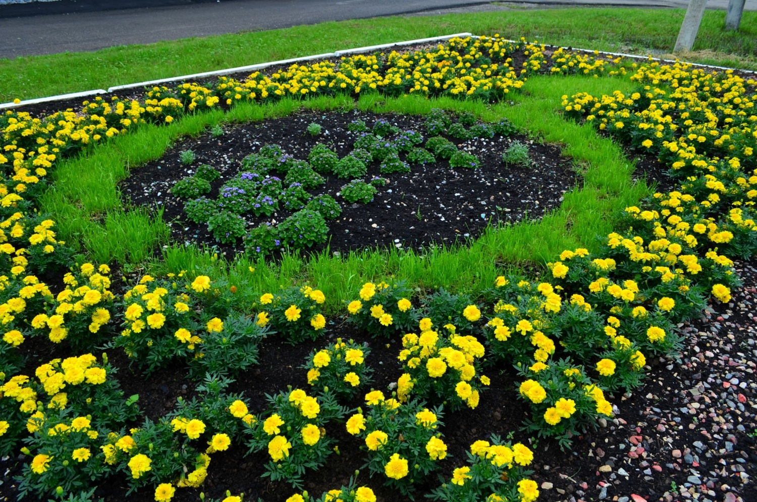 Цветочное кольцо