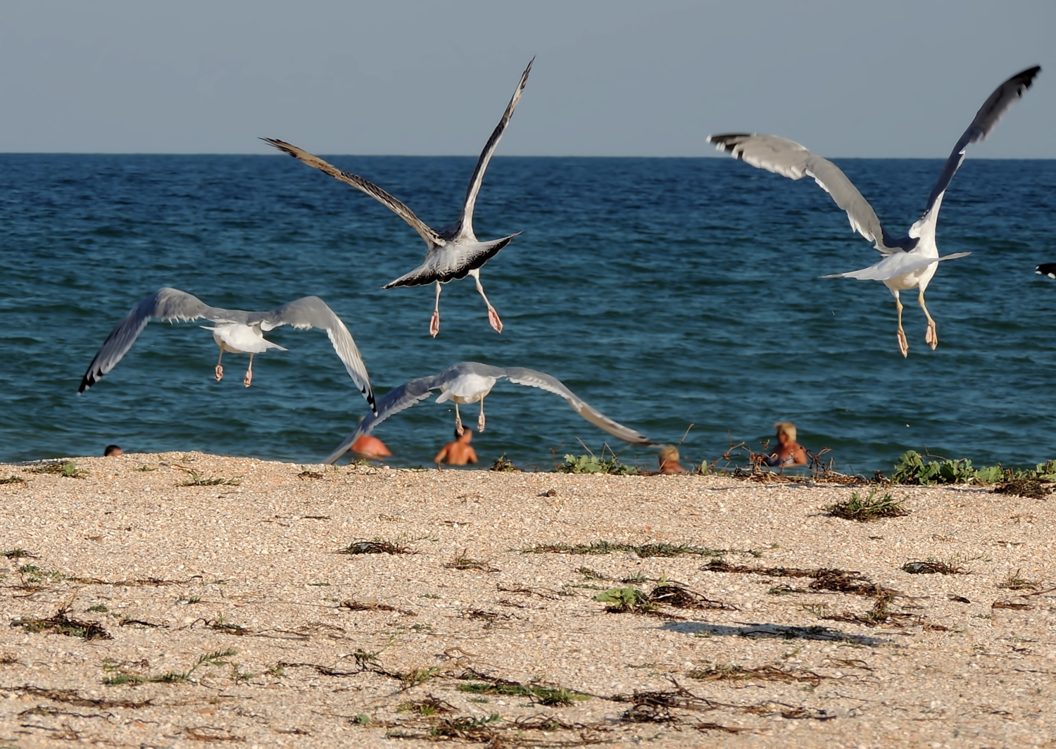 На посадку...