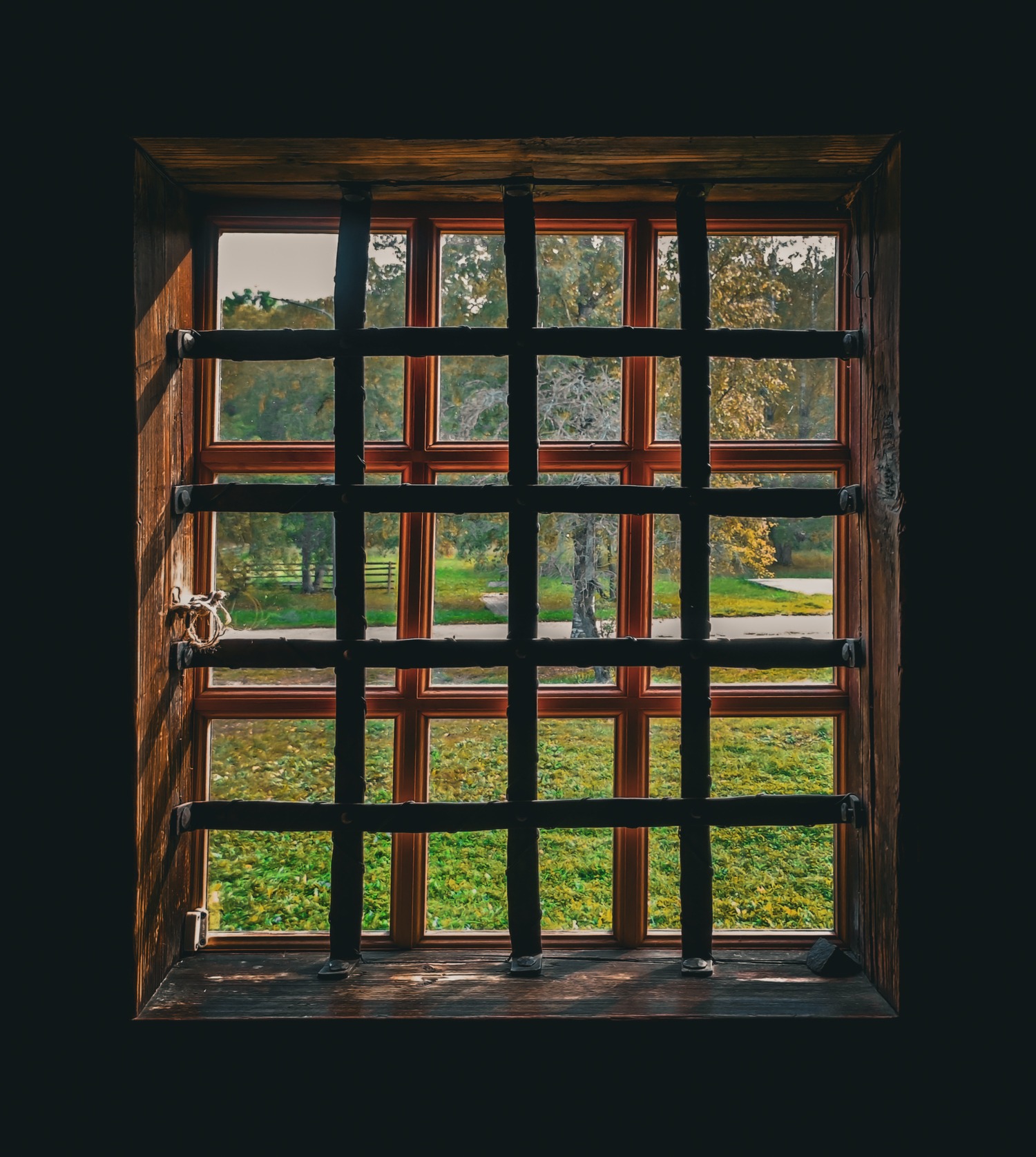 Клетка на клетке